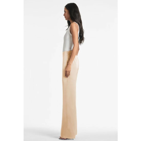 Sachin & Babi Alli Pant - Champagne Pants 2 Sachin & Babi Alli Pant - Champagne Pants - Image 2