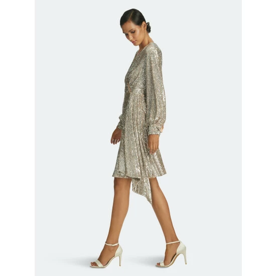 Sachin & Babi Delaney Dress Dresses Silver 3 Sachin & Babi Delaney Dress Dresses Silver - Image 3