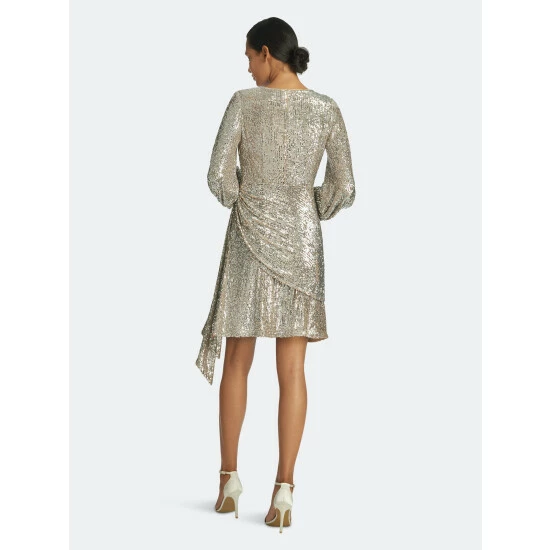 Sachin & Babi Delaney Dress Dresses Silver 4 Sachin & Babi Delaney Dress Dresses Silver - Image 4